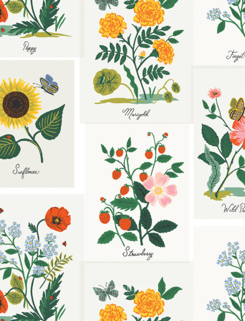 botanical-prints-pink-multi-curio-by-rifle-paper-co