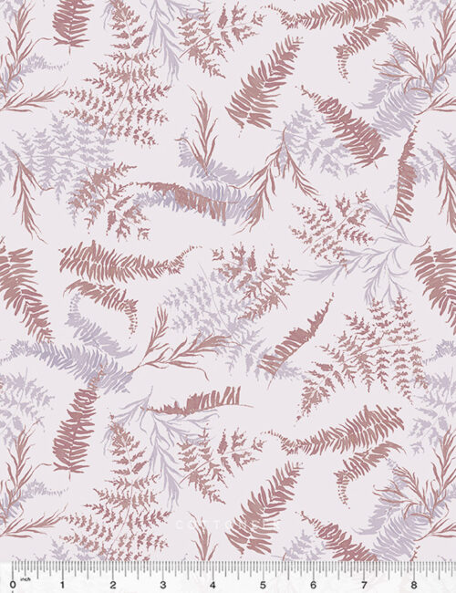 fern-in-lilac-perennial-by-kelly-ventura