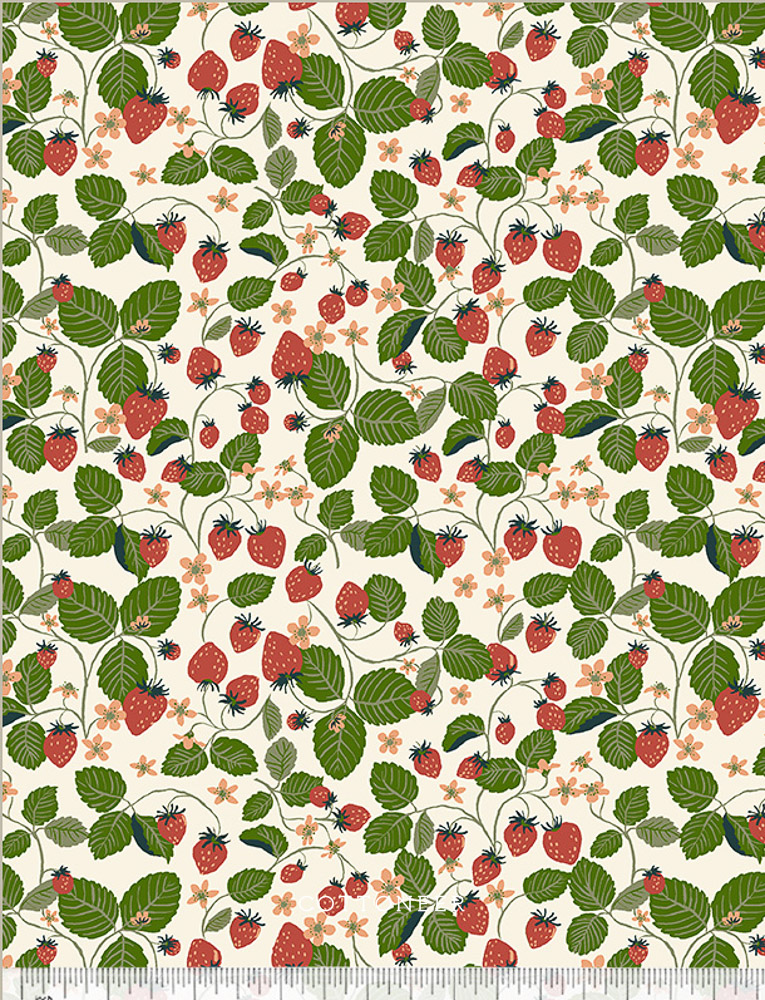 strawberry-fields-ivory-organic-high-density-under-the-canopy-by-monaluna